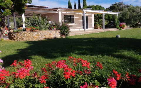 Il Tramonto: Strauch, Garten, Schatten, Estate, Rasen, Hazienda, Garten, Hinterhof, Landscaping