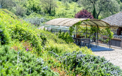 Villa Trasimena: Vegetation, Strauch, Garten, Landschaft, Pflanzengemeinschaft, Ground, Frühling, Landscaping, Botanischer Garten
