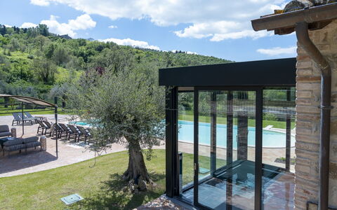 Villa Trasimena: Schwimmbad, Schatten, Eco Hotel, Resort, Landscaping, Estate, Gartenmöbel, Garten, Outdoor Struktur, Hinterhof