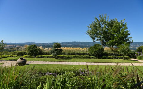 Podere Vigna Nuova: Himmel, Grün, Natur, Baum, Gras, Natürlichen Umgebung, Blatt, Natürliche Landschaft, Vegetation