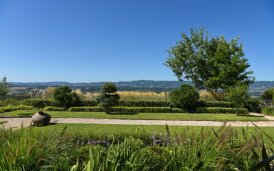 Podere Vigna Nuova