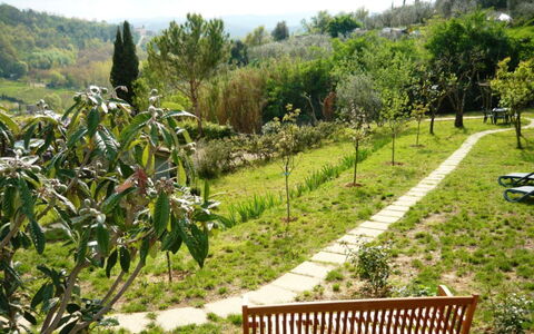 Podere Oliveta: Vegetation, Garten, Strauch, Pflanzengemeinschaft, Ground, Frühling, Botanischer Garten, Plantage, Landscaping, Walkway