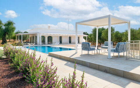 Villa Prestige: Schwimmbad, Schatten, Gartenmöbel, Verbundwerkstoff, Outdoor Struktur, Garten, Estate, Stuhl, Resort, Landscaping
