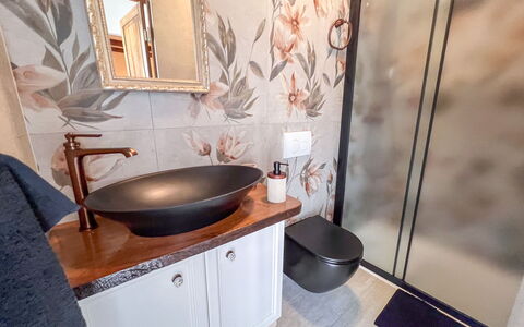 Vila Jurja: Armatur, Bad Sink, Interior Design, Badezimmer, Sinken, Installation, Spiegel, Blumentopf, Zapfhahn, Badezimmerschrank
