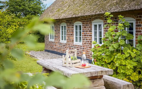 Tuki - 10Km from the Sea: Blau, Strauch, Hütte, Ground, Garten, Estate, Schatten, Landscaping, Bauernhaus, Eco Hotel