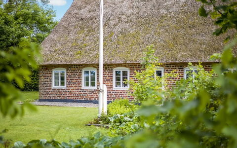 Tuki - 10Km from the Sea: Blau, Strauch, Hütte, Ground, Garten, Estate, Schatten, Landscaping, Bauernhaus, Eco Hotel