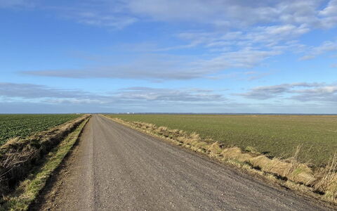 Tuki - 10Km from the Sea: Blau, Strauch, Hütte, Ground, Garten, Estate, Schatten, Landscaping, Bauernhaus, Eco Hotel