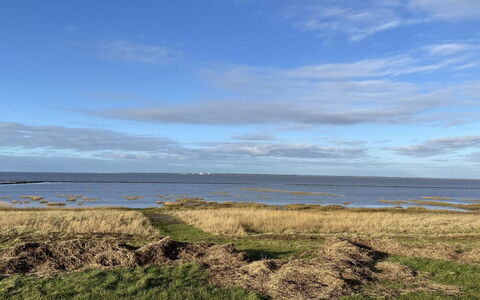 Tuki - 10Km from the Sea: Blau, Strauch, Hütte, Ground, Garten, Estate, Schatten, Landscaping, Bauernhaus, Eco Hotel