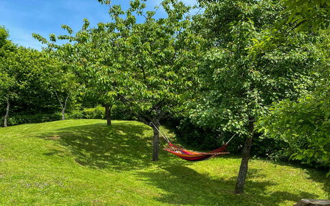 Maklen: Ast, Wiese, Garten, Ground, Rasen, Kofferraum, Schatten, Gehölz, Wiese