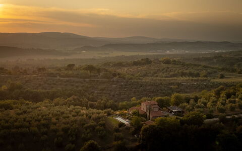 Villa Olivo: Natur, Vegetation, Natürliche Landschaft, Horizont, Landschaft, Hügel, Ökoregion, Wiese, Ländliches Gebiet, Abend