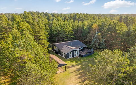 Hansa - 3Km from the Sea: Landschaft, Grundstueck, Plantage, Pine Familie, Immergrün