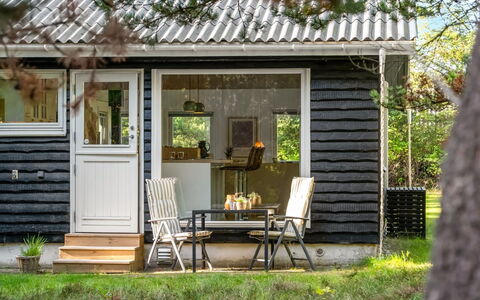 Hansa - 3Km from the Sea: Landschaft, Grundstueck, Plantage, Pine Familie, Immergrün