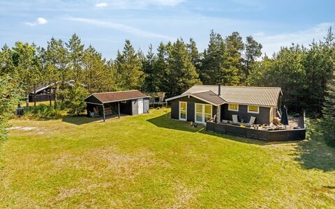 Hansa - 3Km from the Sea: Landschaft, Grundstueck, Plantage, Pine Familie, Immergrün