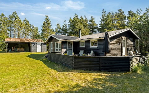 Hansa - 3Km from the Sea: Landschaft, Grundstueck, Plantage, Pine Familie, Immergrün