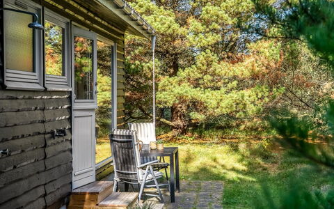 Hansa - 3Km from the Sea: Landschaft, Grundstueck, Plantage, Pine Familie, Immergrün
