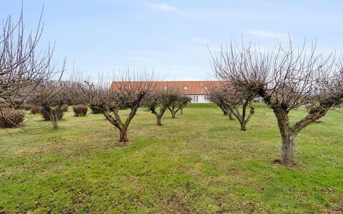 Markus - 300M from the Sea: Erholung, Werbung, Park, Banner, Schild, Pfad