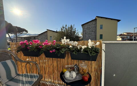 Sto Bene Qua: Blumentopf, Balkon, Zimmerpflanze, Floristik, Blumendesign, Hof