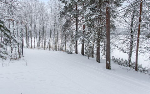 Katinkulma 2: Schnee, Ast, Baum, Winter, Natürlichen Umgebung, Holz, Zweig, Wald, Einfrieren