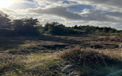 Ibbe - 3.5Km from the Sea: Himmel, Wolke, Gras, Natürlichen Umgebung, Vegetation, Wiese, Strauch, Ökoregion, Wildnis, Kumulus