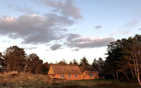 Ibbe - 3.5Km from the Sea: Estate, Schatten, Auffahrt, Bauernhaus