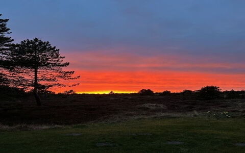 Ibbe - 3.5Km from the Sea: Himmel, Natur, Ast, Afterglow, Horizont, Orange, Dämmerung, Sonnenuntergang, Wolke, Natürliche Landschaft