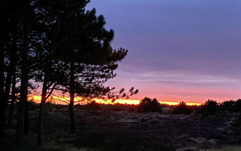 Ibbe - 3.5Km from the Sea: Himmel, Ast, Natur, Blatt, Afterglow, Natürliche Landschaft, Dämmerung, Sonnenuntergang, Horizont, Orange