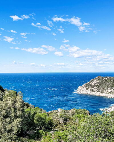 Marciana 11
