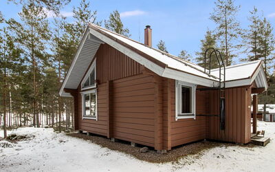 Puolukka 2