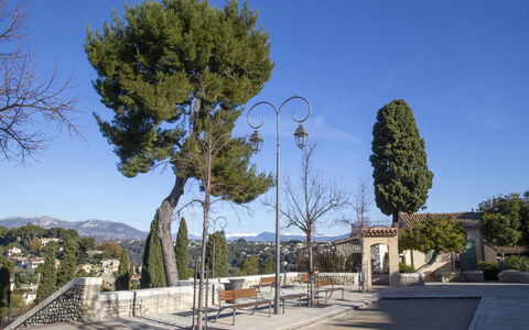 Cagnes Provencal: Baum, Öffentlicher Raum, Schatten, Walkway, Immergrün, Landscaping, Pine Familie