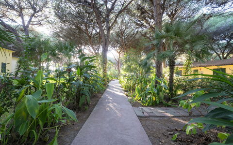 Nature & Country Resort Near The sea: Vegetation, Garten, Gehölz, Schatten, Weg, Landscaping, Walkway, Botanischer Garten, Auffahrt, Plantage