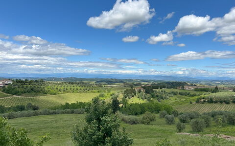 Belmonte Spereto Apartment With Pool, Montaione: Himmel, Daytime, Natürlichen Umgebung, Gras, Natur, Wolke, Horizont, Vegetation, Natürliche Landschaft, Wiese