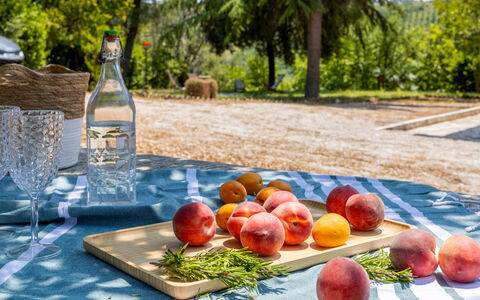 Casa Iume: Obst, Produzieren, Essen, Geschirr, Natural Foods, Apfel, Tischdecke, Pfirsich, Picknick
