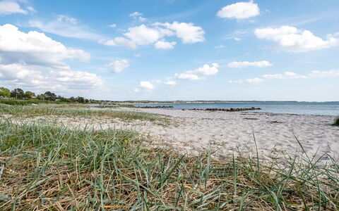 Stavros - 100M from the Sea: Wohngebiet, Strauch, Haus, Zuhause, Garten, Estate, Schatten, Landscaping, Rasen