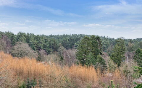 Gunward - 3Km from the Sea: Dachdecken, Hütte, Haus, Dach, Zuhause, Bauernhaus, Hütte, Estate, Dorf