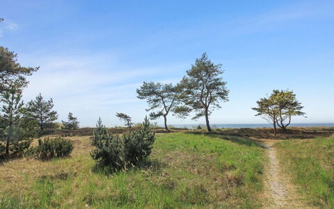 Eick - 800M from the Sea: Wohnung, Eigentumswohnung, Estate, Balkon, Villa, Hotel