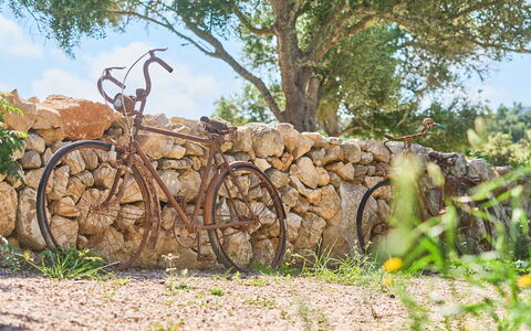 Ca'N Galeri: Rad, Fahrrad, Fahrrad-Rad, Fahrradgabel