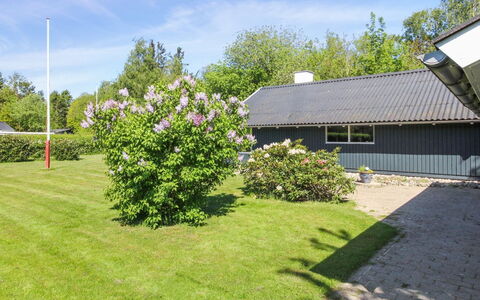 Rosalie - 29Km from the Sea: Estate, Schatten, Auffahrt, Bauernhaus