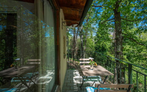 Grace Home, Pool, Wifi, Gambassi Terme: Holz, Möbel, Wald, Stuhl, Veranda, Naturschutzgebiet, Dschungel, Hartholz, Schatten, Sonnenlicht