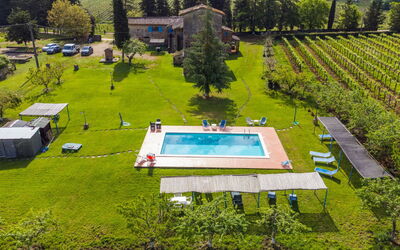 Fattoria Petraglia
