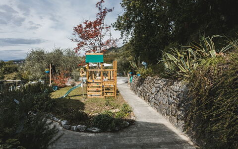 Villa Vernazza: Strauch, Garten, Frühling, Landscaping, Schatten, Botanischer Garten