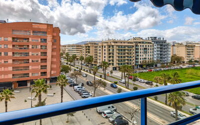Malaga Pacifico