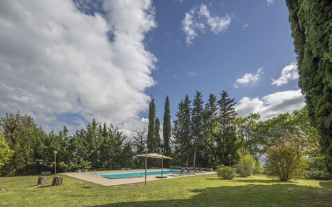 Cottage Monti Pet Friendly With Shared Pool: Baum, Grundstueck, Schatten, Lärche, Landscaping, Immergrün, Schwimmbad, Pine Familie