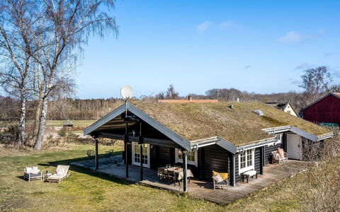 Franka - from the Sea: Vegetation, Strauch, Frühling, Hütte, Garten, Schatten, Hinterhof, Garten, Stuhl