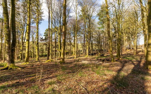 Doonans Cottage: Blatt, Ast, Baum, Natürlichen Umgebung, Holz, Vegetation, Natürliche Landschaft, Wald, Hain, Ökoregion