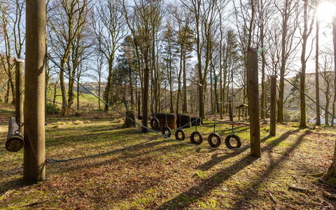 Balbeg Cottage: Baum, Natürlichen Umgebung, Ast, Blatt, Gras, Natur, Holz, Natürliche Landschaft, Kofferraum, Grundstueck
