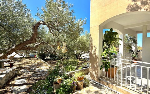 Appartamento Olive Garden, Ac, Wifi, Hvar: Strauch, Garten, Estate, Schatten, Hazienda, Landscaping, Garten, Stuhl, Hinterhof, Villa