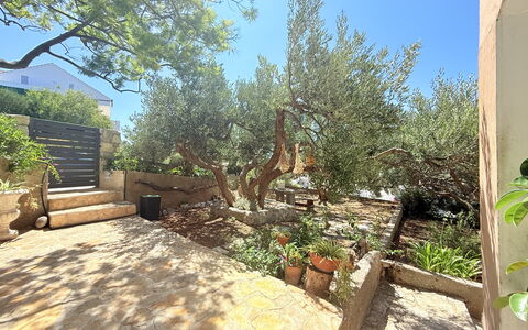 Appartamento Olive Garden, Ac, Wifi, Hvar: Strauch, Garten, Gehölz, Schatten, Landscaping, Hinterhof, Flagstone, Boden, Garten, Hof