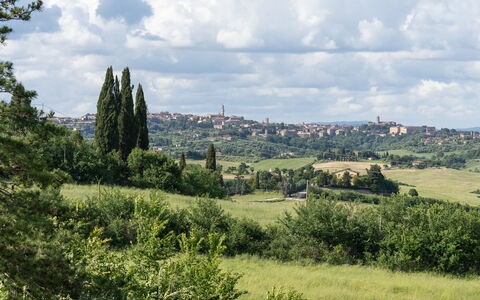 Capanna Di Elfo: Gras, Wiese, Vegetation, Horizont, Landschaft, Ökoregion, Einfach, Grundstueck, Pflanzengemeinschaft, Wiese