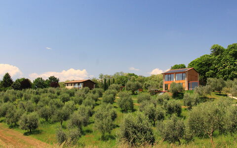 Villa Montello Pool, Jacuzzi, Ac, Wifi, Treviso: Baum, Gras, Strauch, Haus, Ländliches Gebiet, Grundstueck, Zuhause, Pflanzengemeinschaft, Hütte