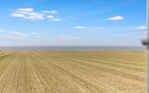 Freja - 12Km from the Sea: Estate, Schatten, Auffahrt, Bauernhaus